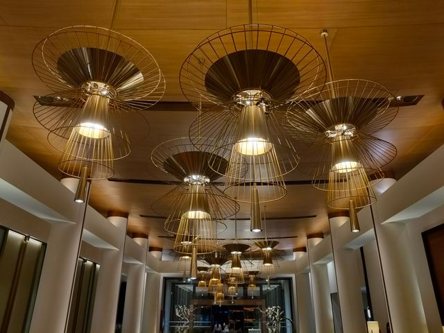 Suimas Interiors Ceiling Finishes