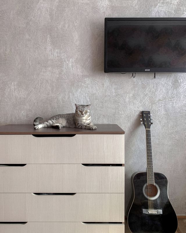 Suimas interiors textured paint installation services